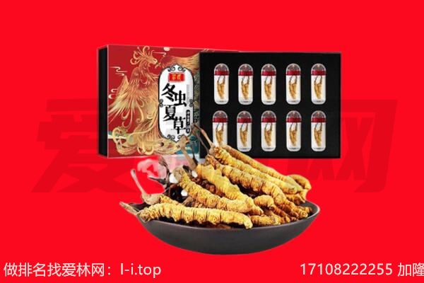 广丰区回收虫草.jpg